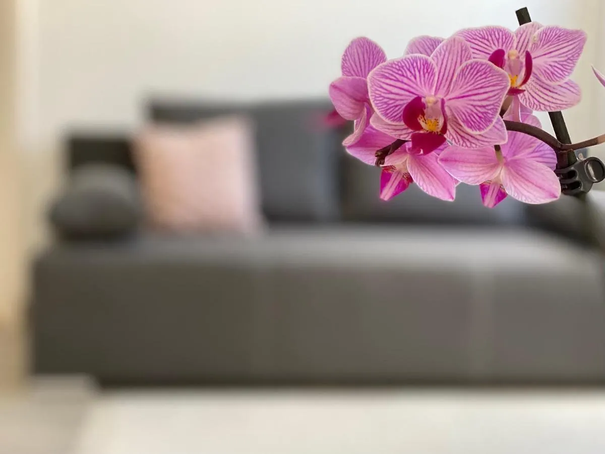Andrea Apartmanok Hajdúszoboszló Magyarország